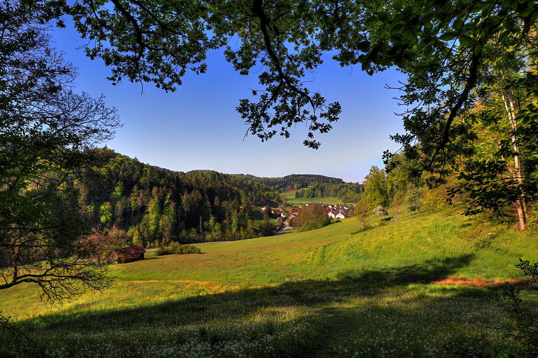 IMG_4297-hdr.jpg