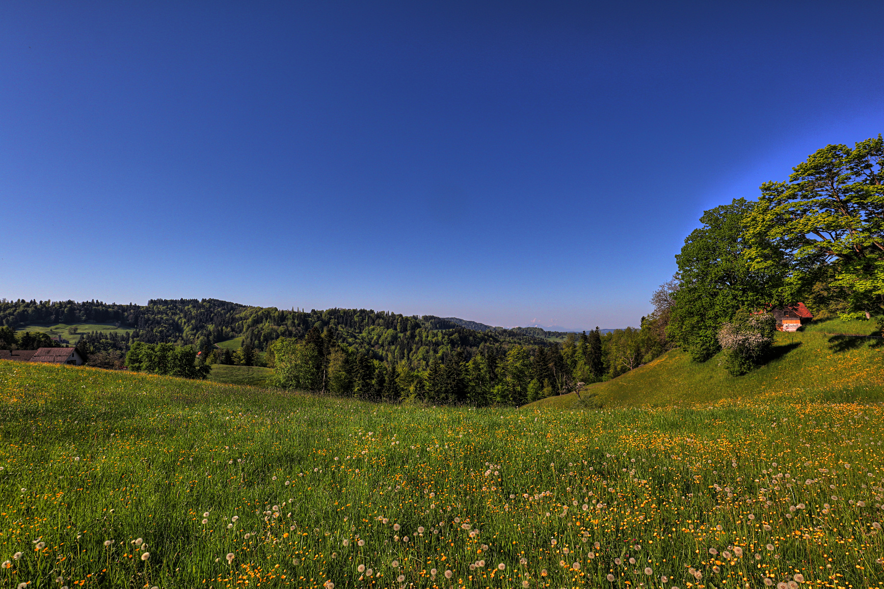 IMG_4309-hdr.jpg