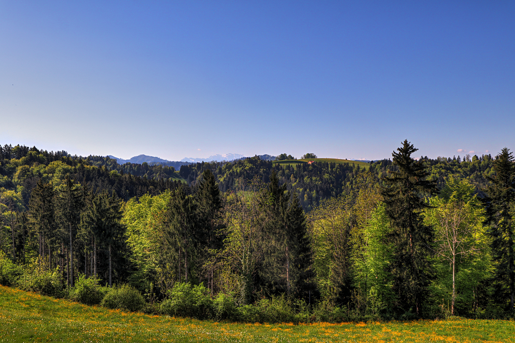 IMG_4315-hdr.jpg