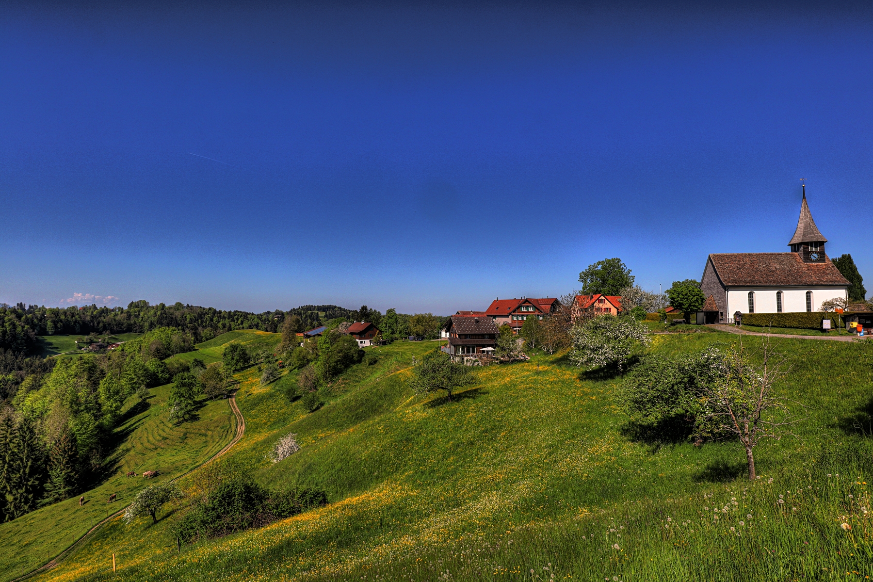 IMG_4318-hdr.jpg