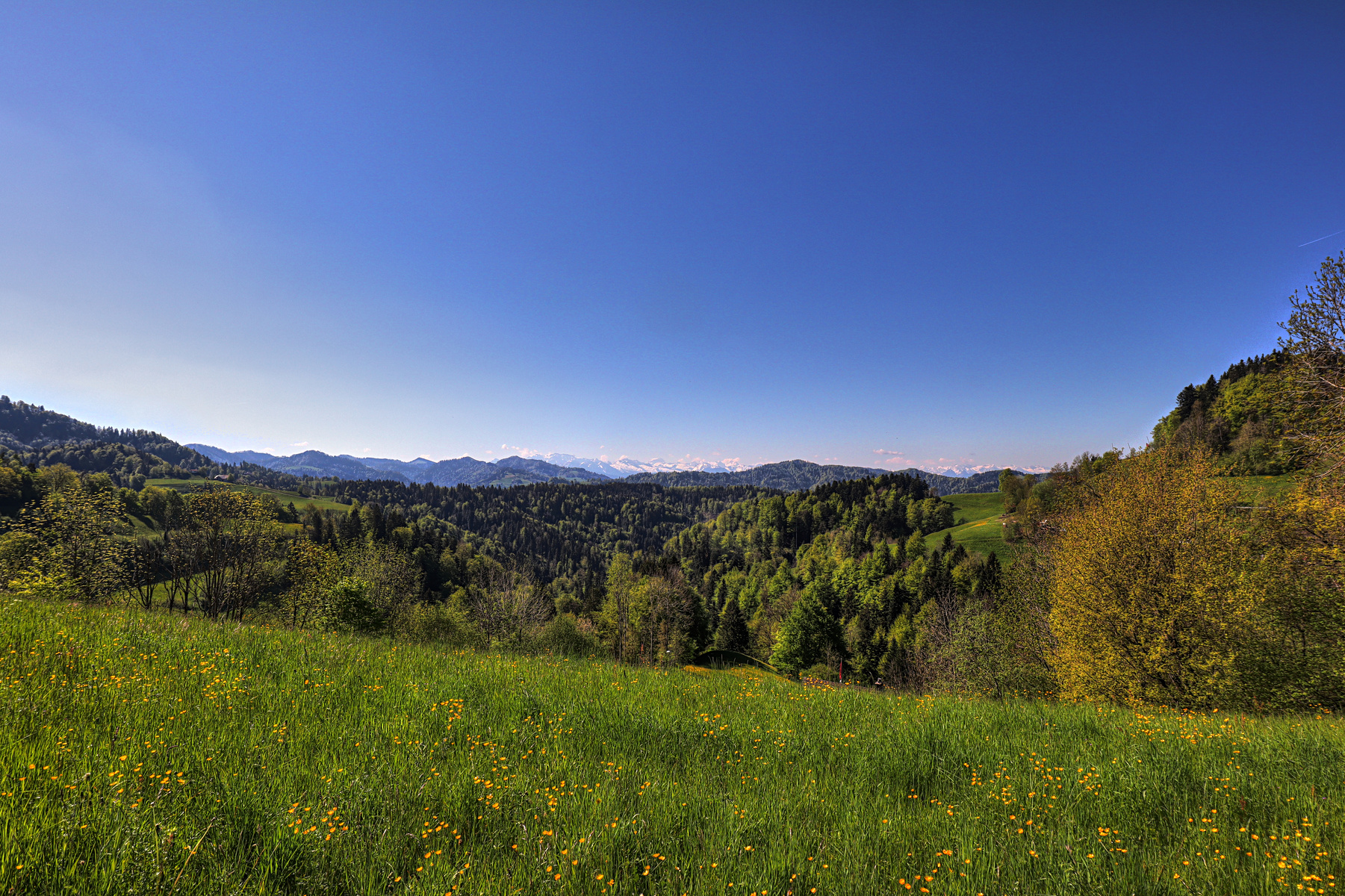 IMG_4324-hdr.jpg