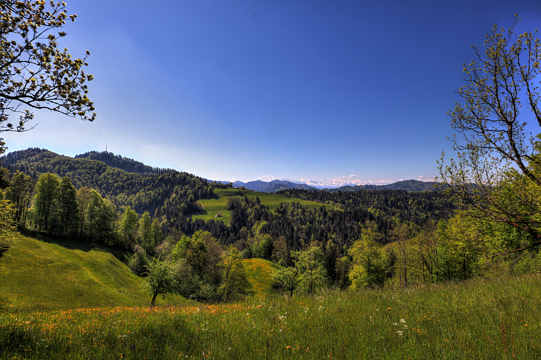 IMG_4330-hdr.jpg