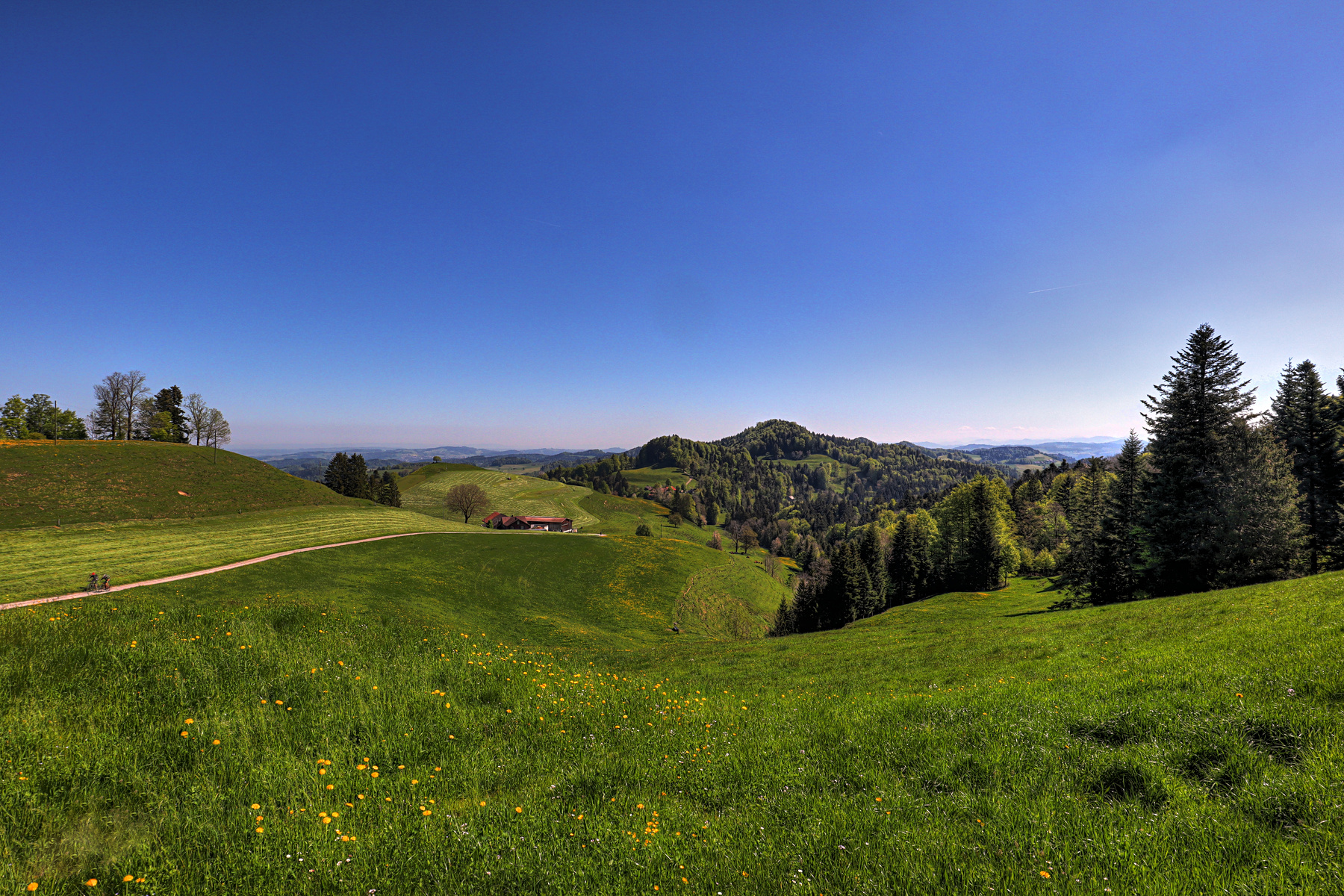 IMG_4342-hdr.jpg