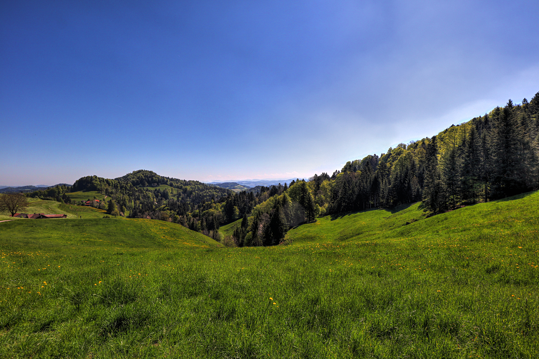 IMG_4345-hdr.jpg