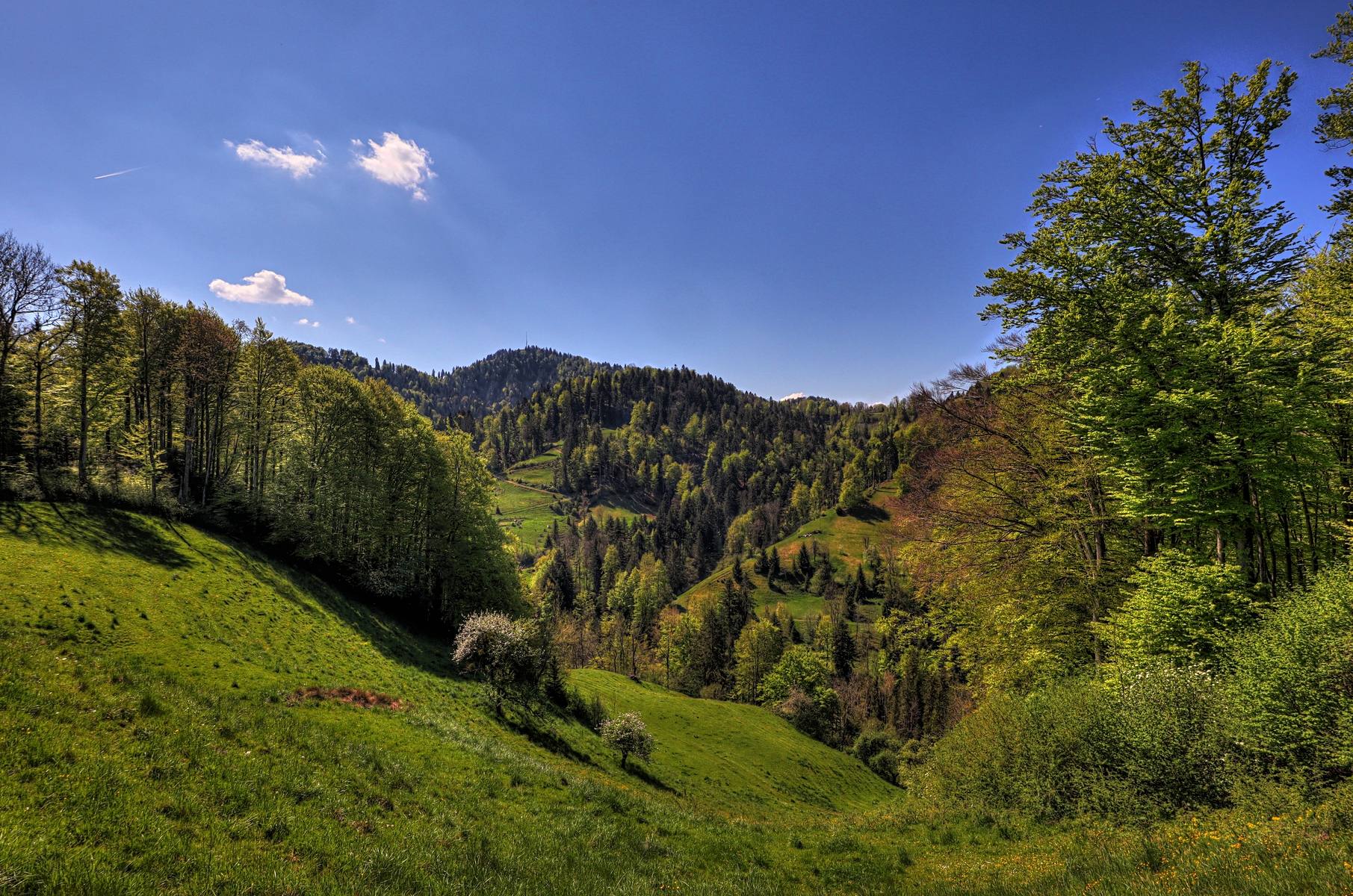 IMG_4360-hdr.jpg