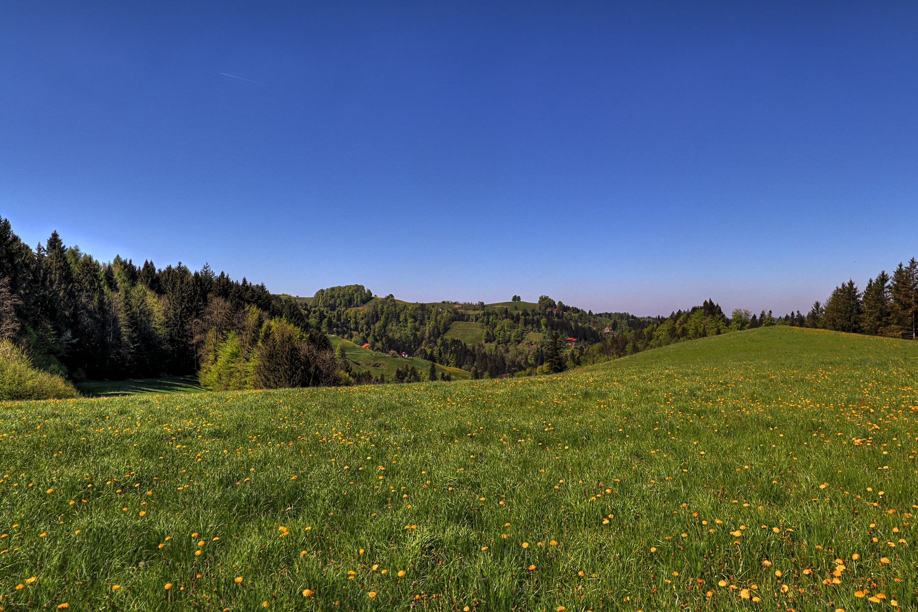 IMG_4369-hdr.jpg