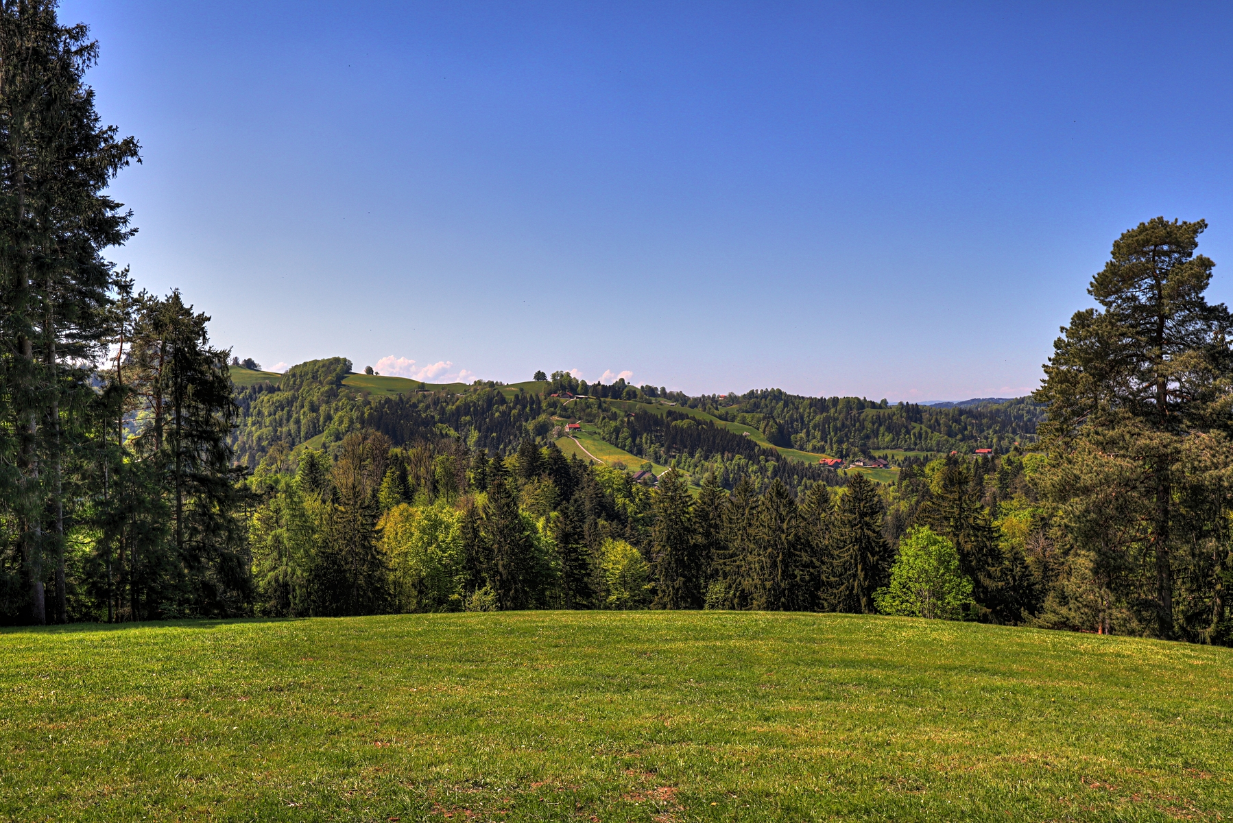 IMG_4381-hdr.jpg