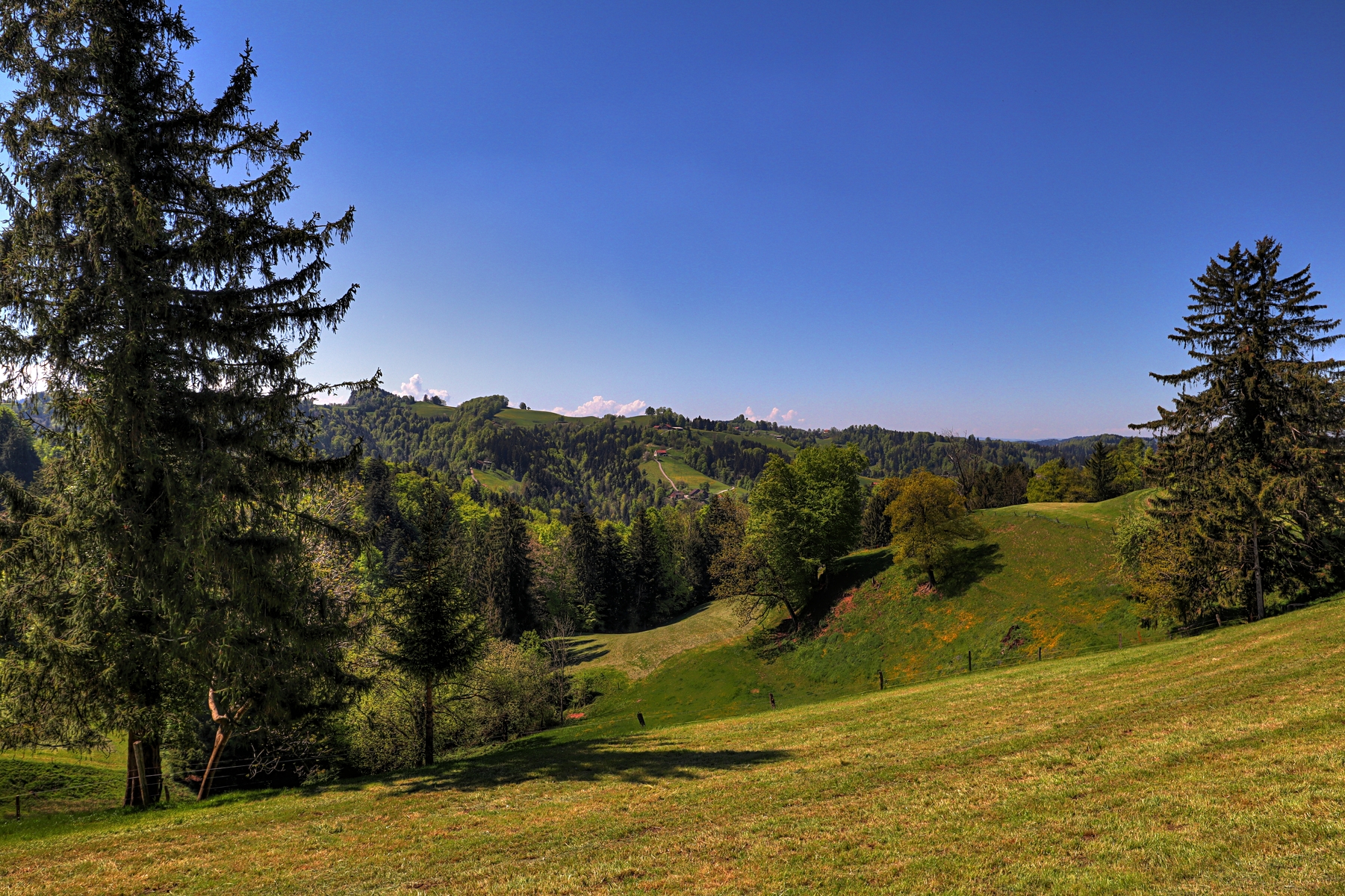 IMG_4384-hdr.jpg
