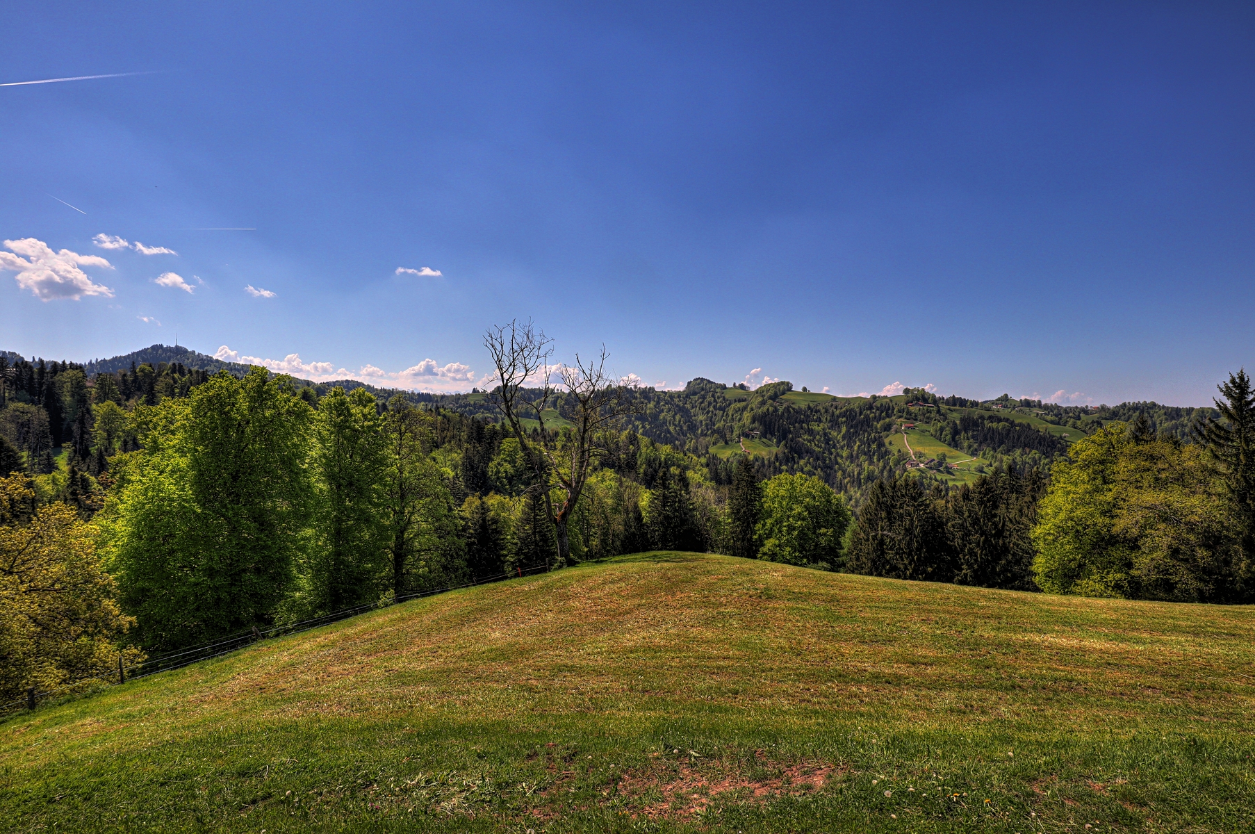 IMG_4387-hdr.jpg