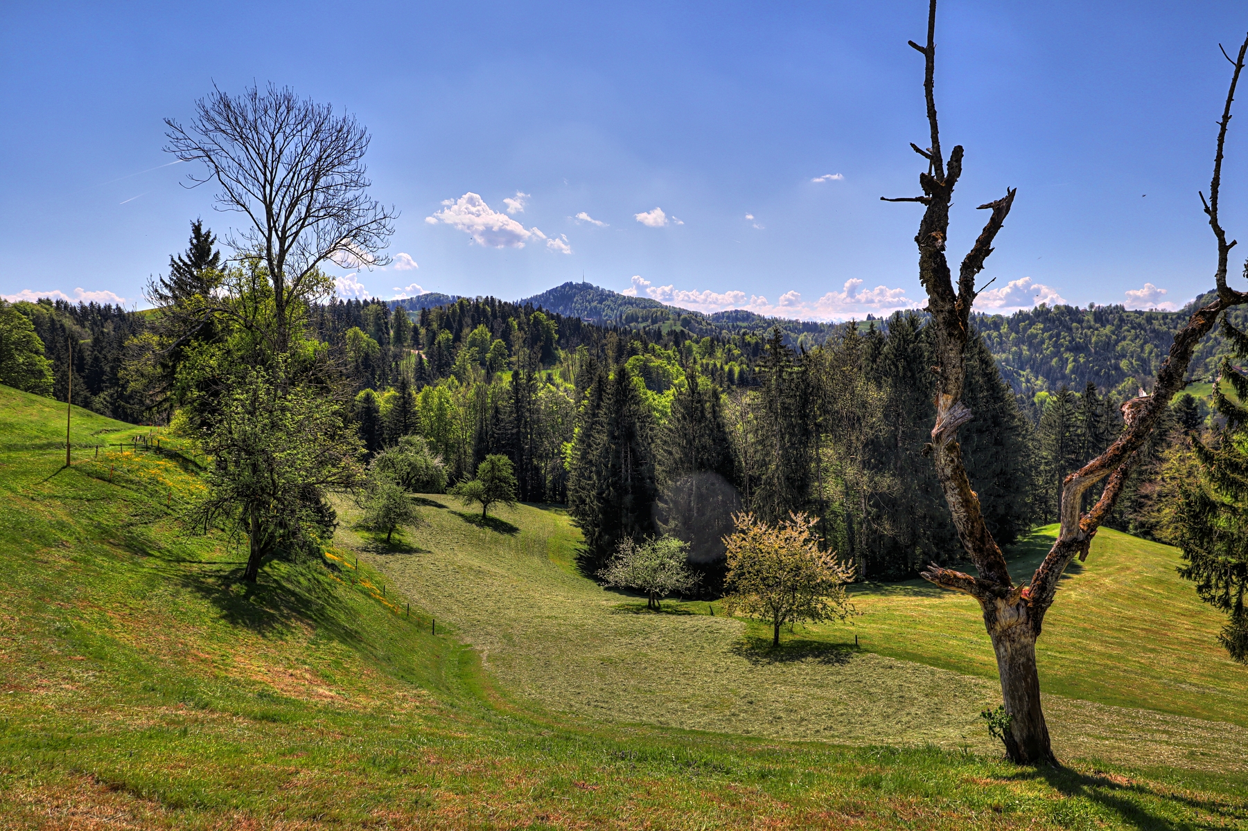 IMG_4395-hdr.jpg