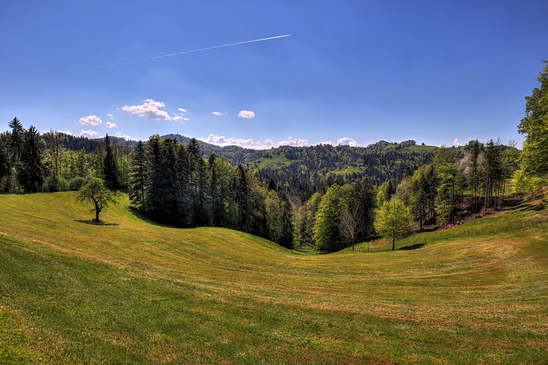 IMG_4398-hdr.jpg