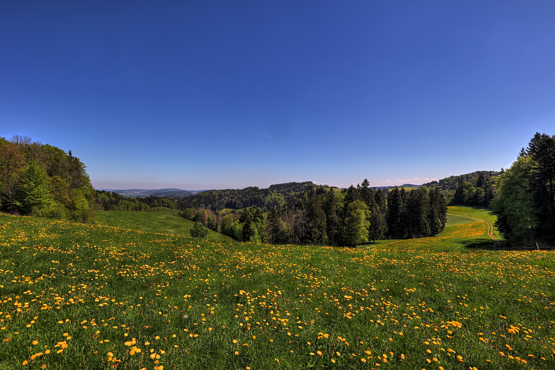IMG_4404-hdr.jpg