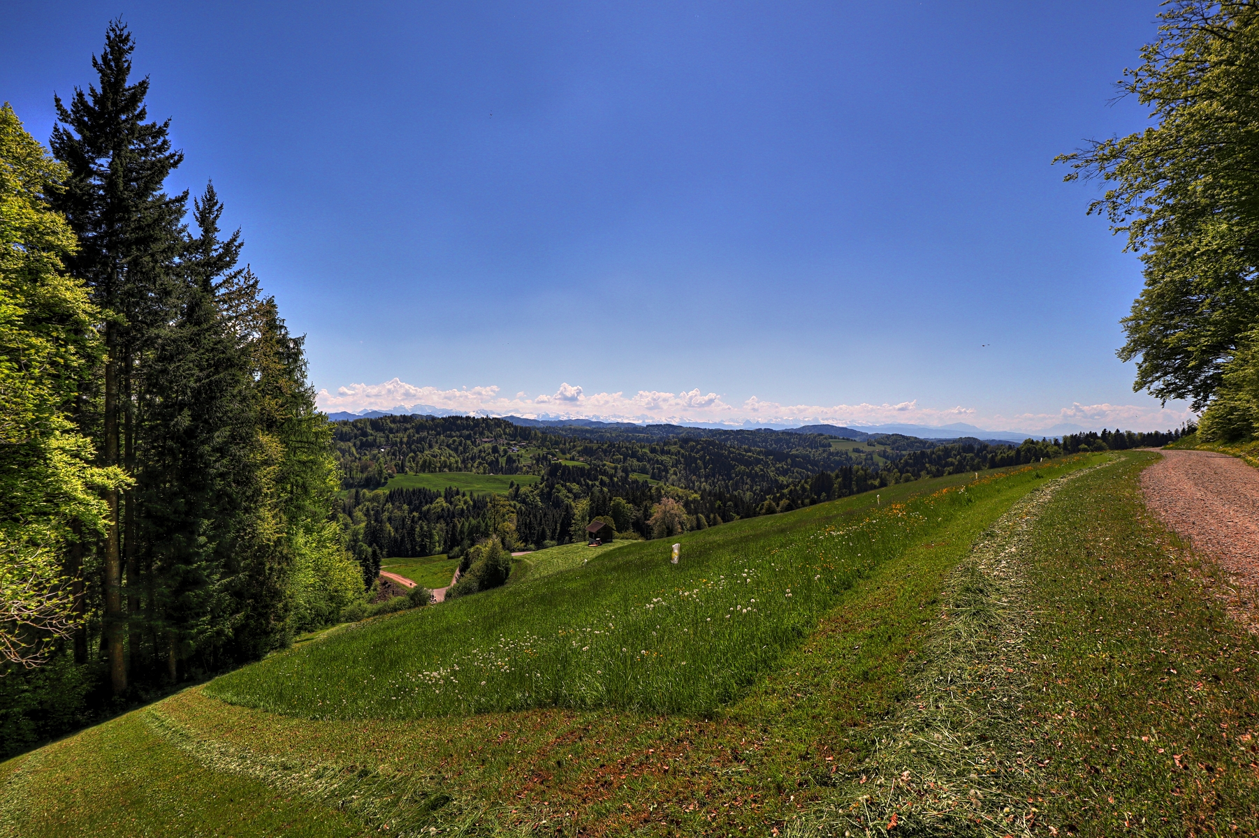 IMG_4422-hdr.jpg