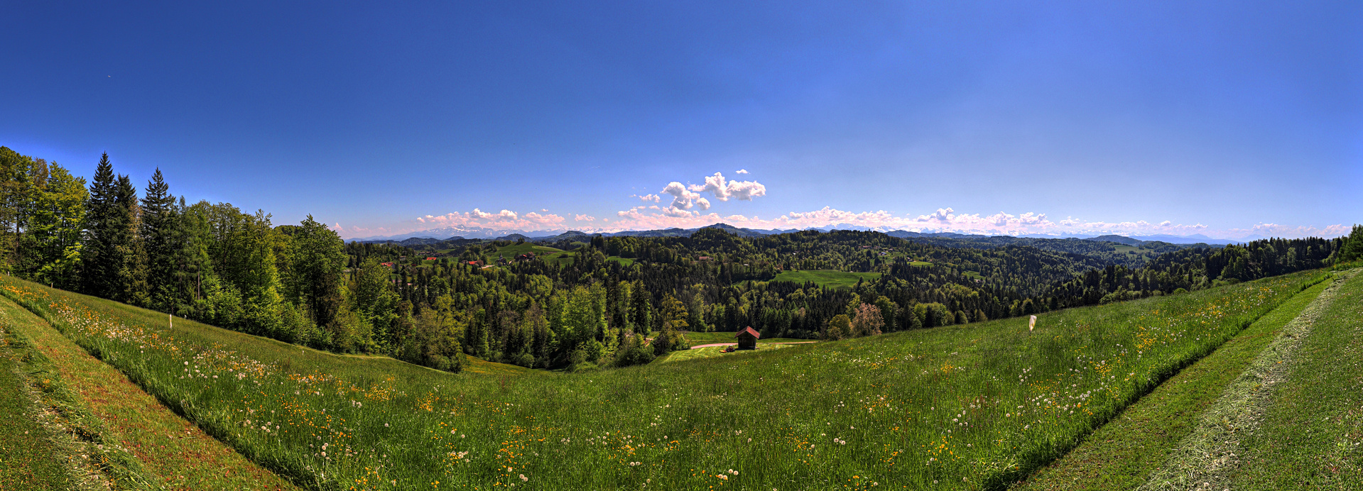 IMG_4431-hdrpan.jpg