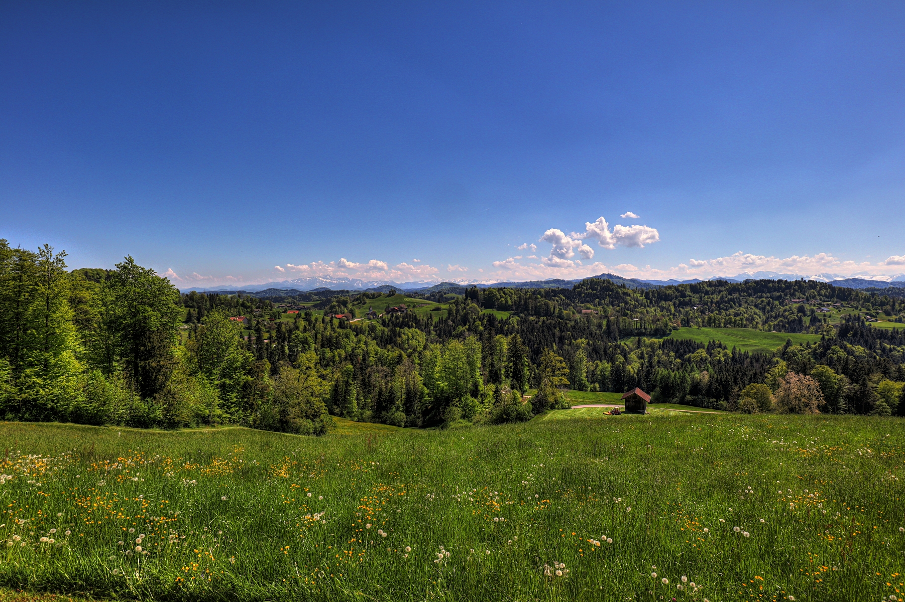 IMG_4440-hdr.jpg