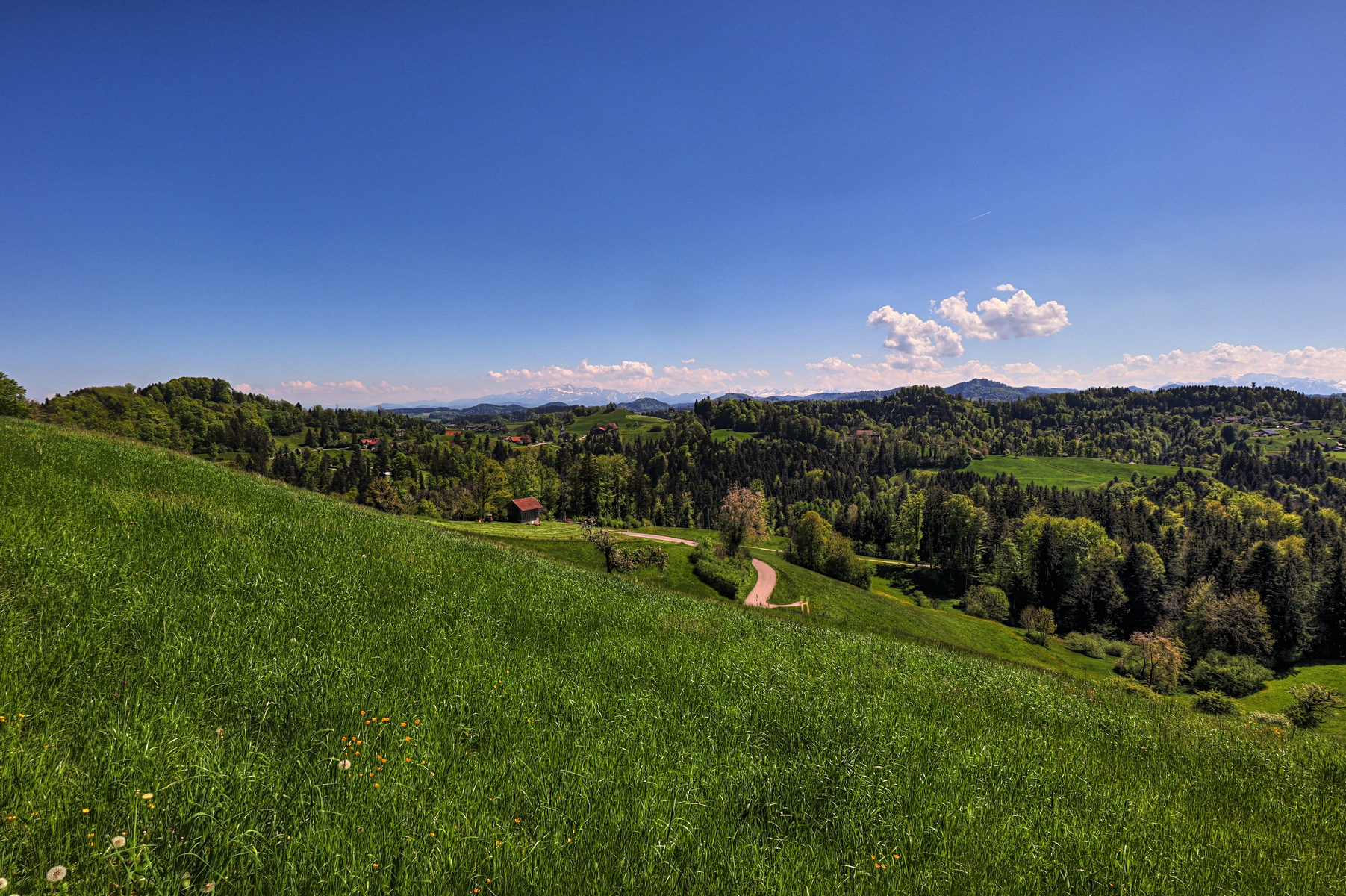 IMG_4443-hdr.jpg