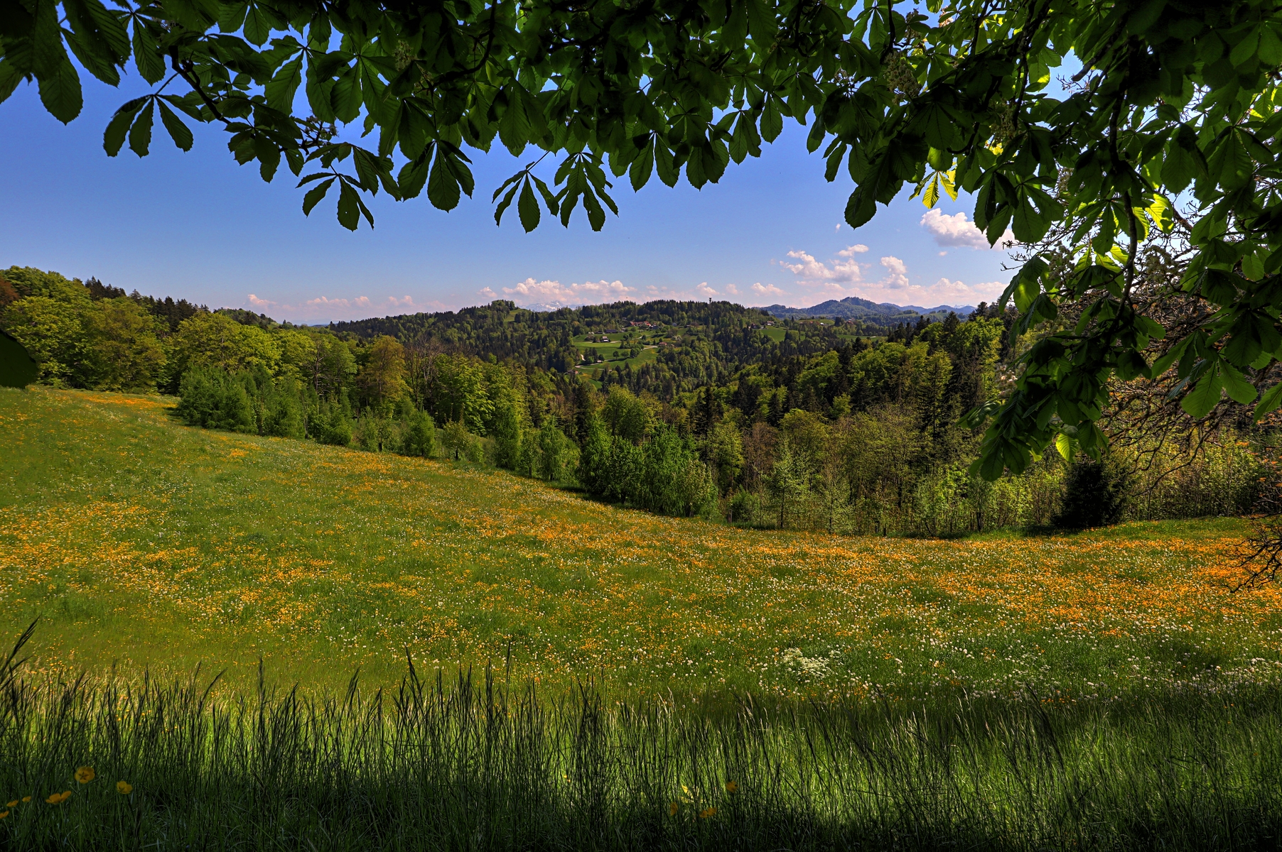 IMG_4455-hdr.jpg