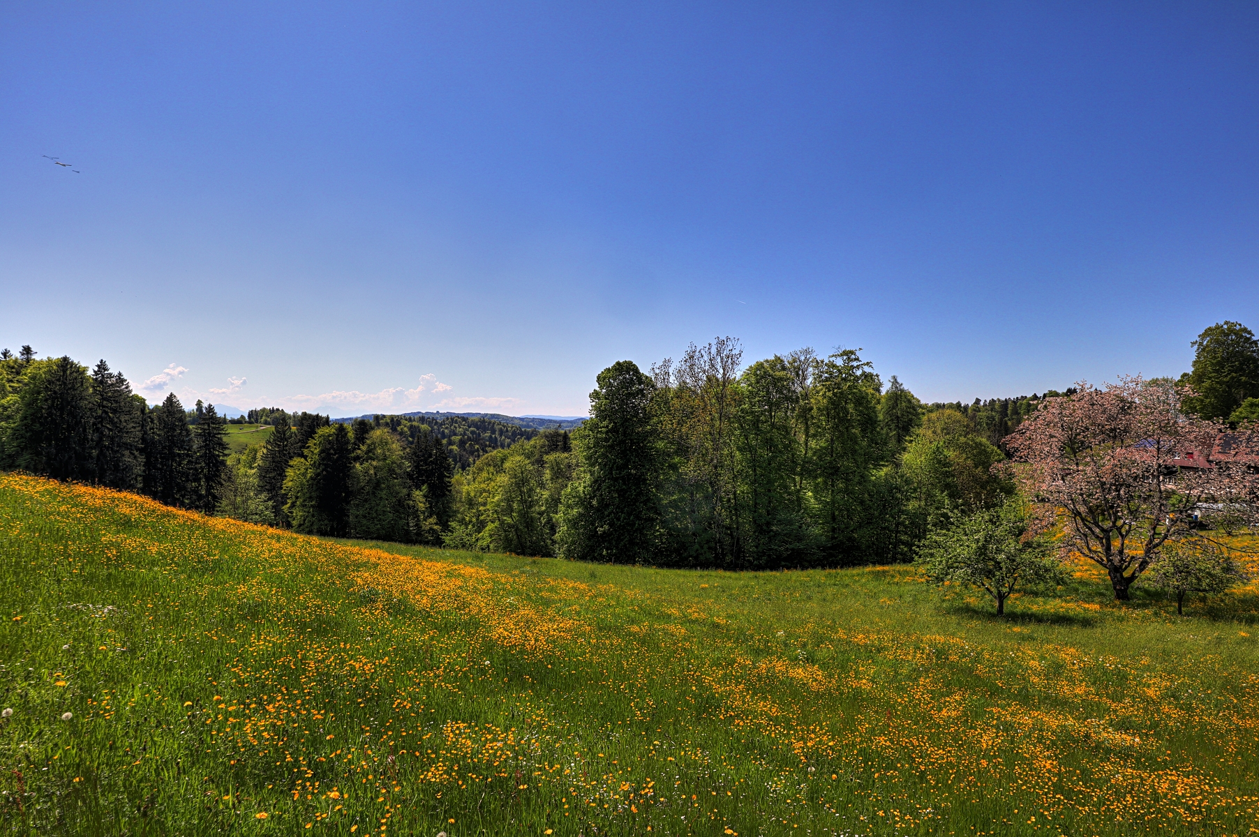 IMG_4458-hdr.jpg