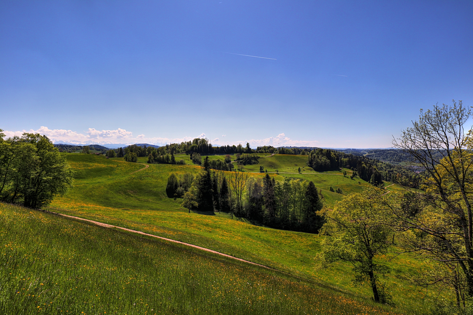 IMG_4461-hdr.jpg