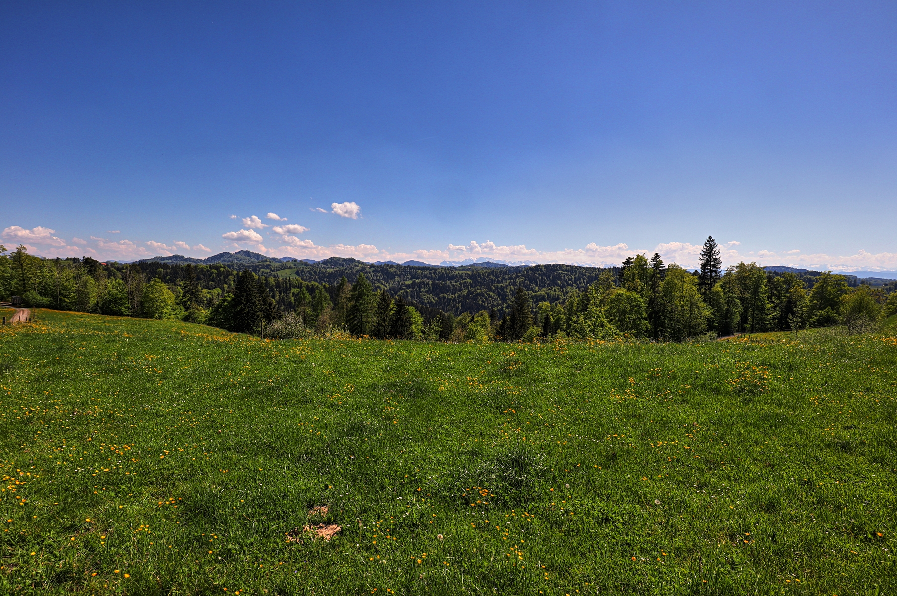 IMG_4467-hdr.jpg
