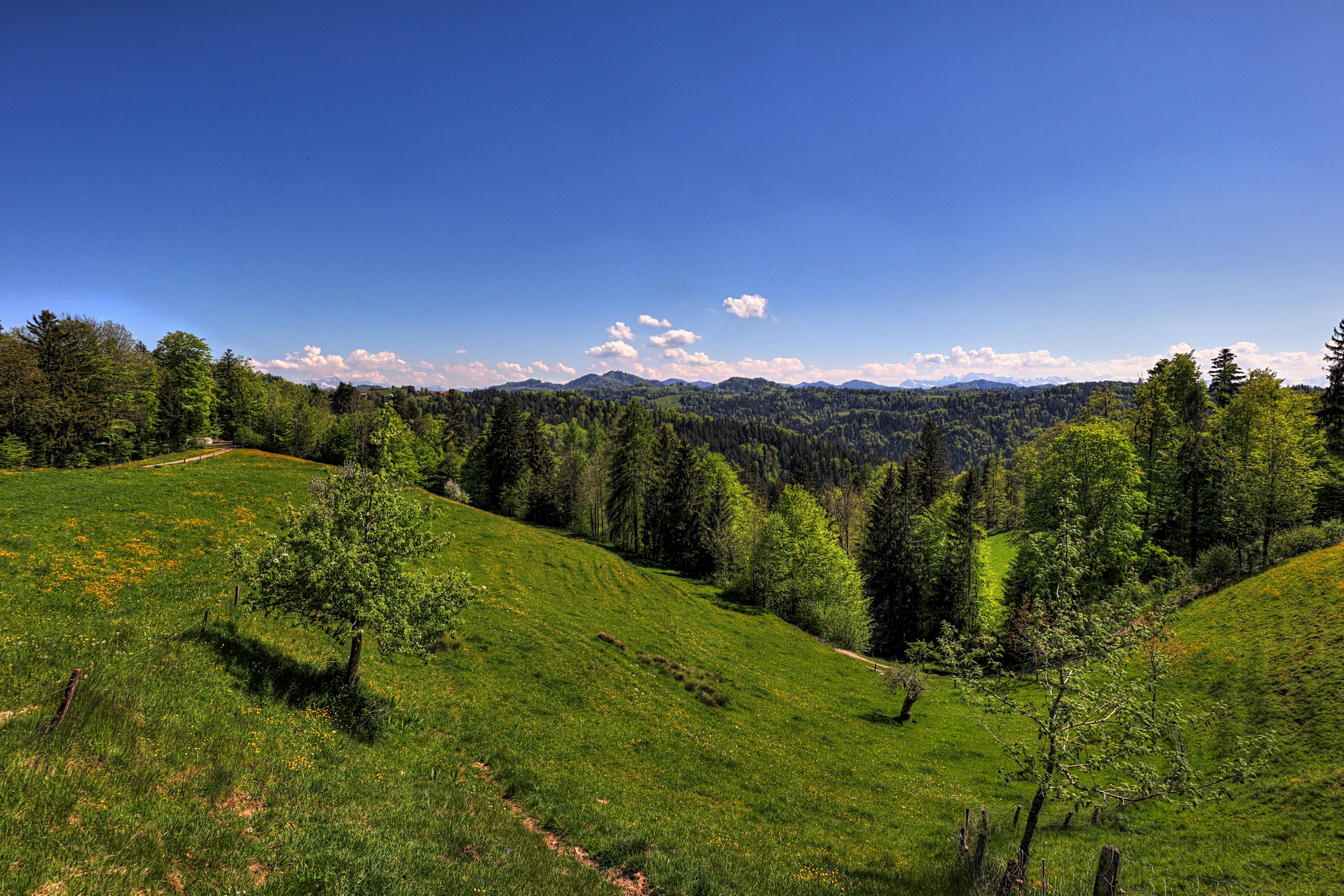 IMG_4470-hdr.jpg