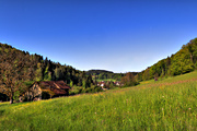 IMG_4294-hdr.jpg