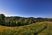 IMG_4303-hdr.jpg