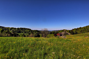 IMG_4312-hdr.jpg