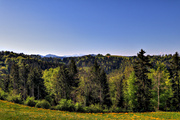IMG_4315-hdr.jpg