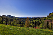 IMG_4321-hdr.jpg