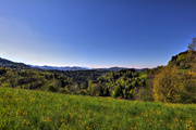 IMG_4324-hdr.jpg