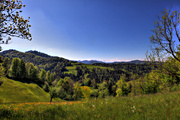IMG_4330-hdr.jpg