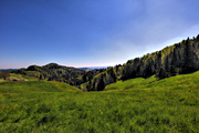 IMG_4345-hdr.jpg