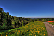 IMG_4354-hdr.jpg