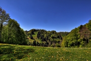 IMG_4357-hdr.jpg