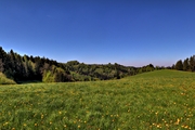 IMG_4369-hdr.jpg