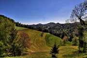 IMG_4375-hdr.jpg