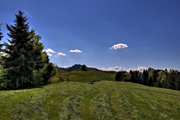 IMG_4378-hdr.jpg