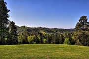 IMG_4381-hdr.jpg