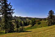 IMG_4384-hdr.jpg