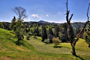IMG_4395-hdr.jpg