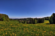 IMG_4404-hdr.jpg