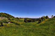 IMG_4410-hdr.jpg