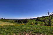 IMG_4413-hdr.jpg