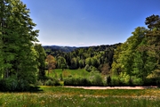 IMG_4419-hdr.jpg