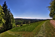 IMG_4422-hdr.jpg