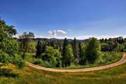 IMG_4446-hdr.jpg