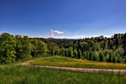 IMG_4449-hdr.jpg