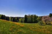 IMG_4458-hdr.jpg