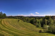 IMG_4464-hdr.jpg